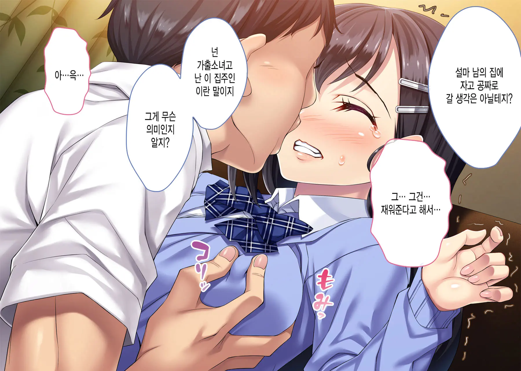 Iede Shoujo Nakadashi Kimeseku Kyousei Choukyou